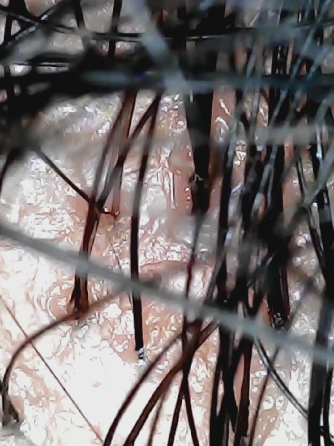 Microscópio Led sem fios